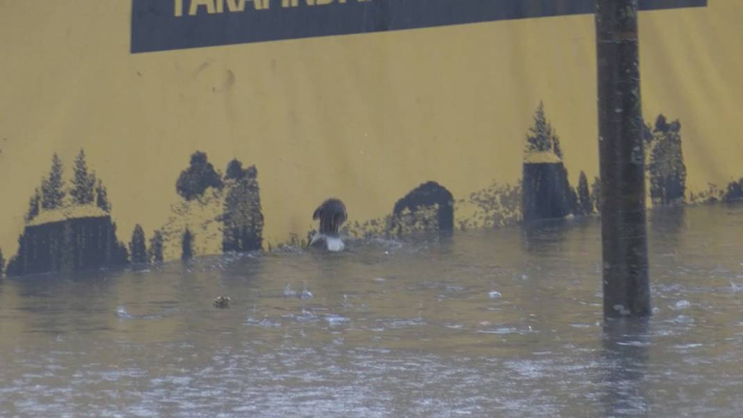 Meteoroloji'den Çarşamba günü için flaş uyarı: Radar görüntülerini paylaştı 24